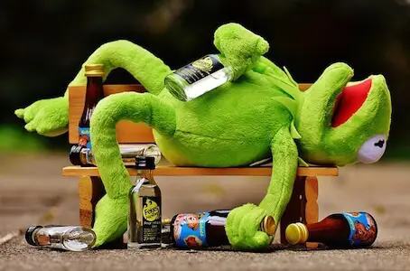 kermit drunk