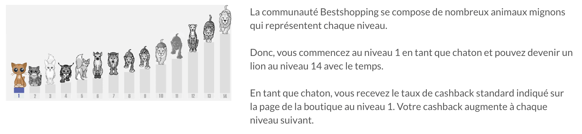 niveaux fidélité bestshopping