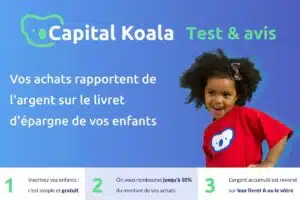 capital koala avis