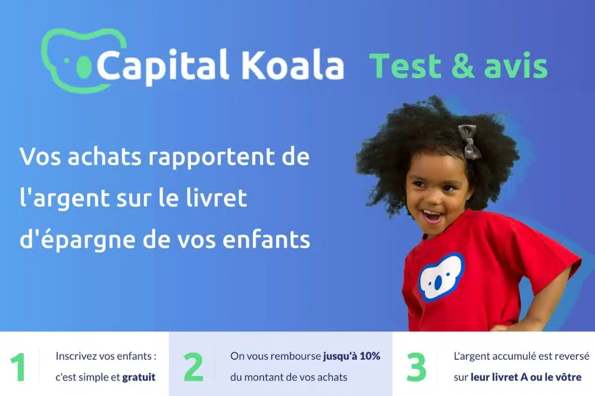 capital koala avis