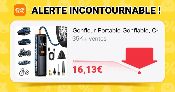 code promo temu meilleures ventes janvier 2026 gonfleur
