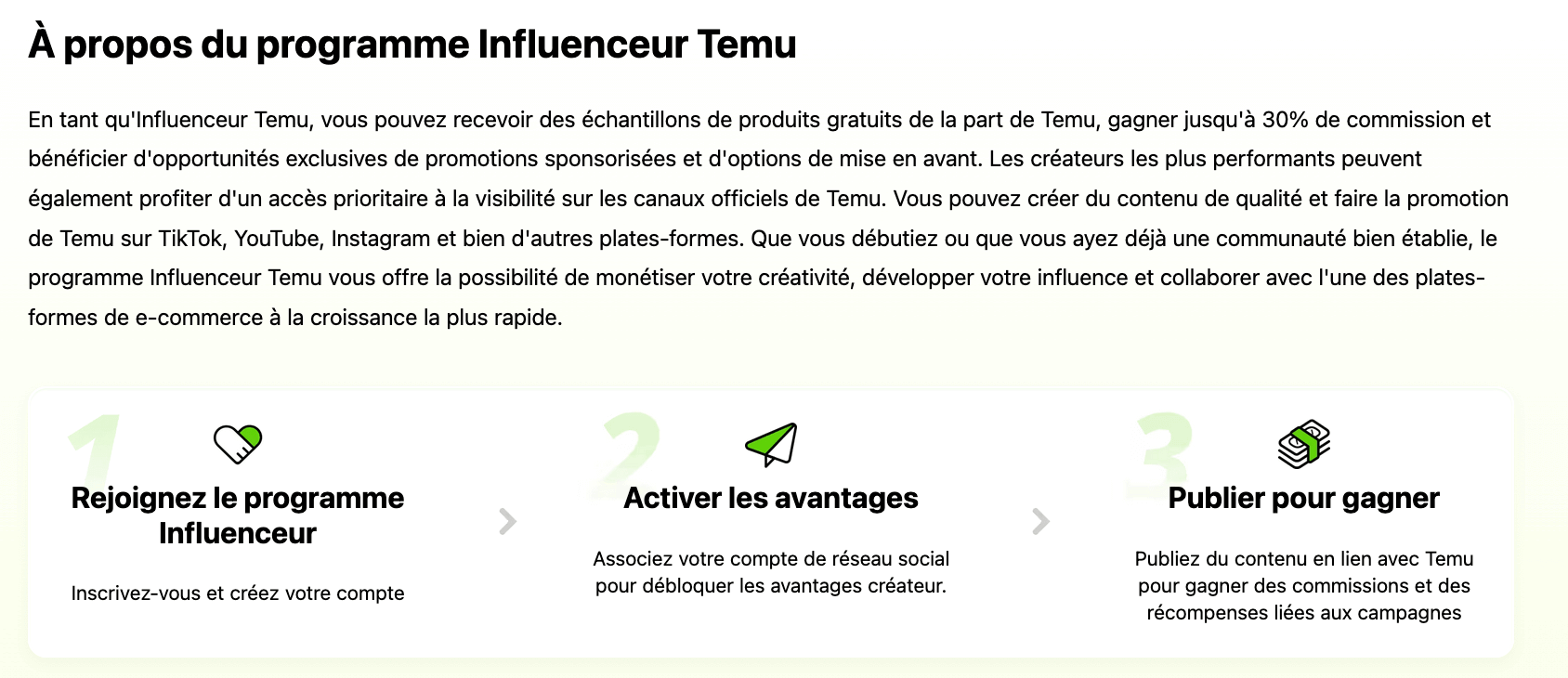 programme influenceur temu