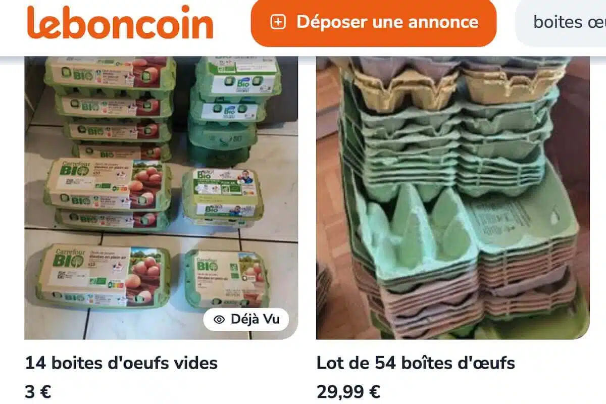 vendre boîte d'œufs leboncoin