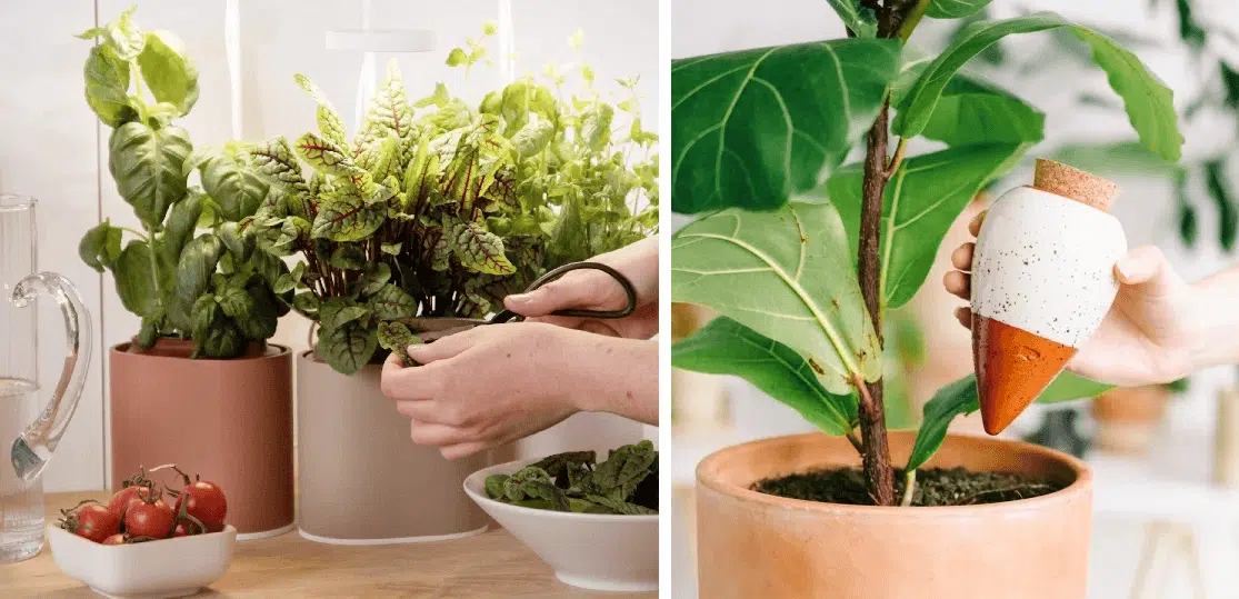 Potager d'intérieur et réservoir d'eau naturel